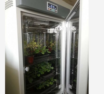 LIYI-Pflanzenwachstums-Kammer-künstlicher Klima-Samen-Keimungs-Maschinen-Pflanzenwachstums-Kasten-Brutkasten