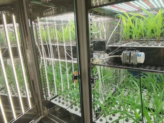 Liyi Pflanzenwachstumskammer Künstliches Klima Samenkeimmaschine Pflanzenwachstumsbox Inkubator