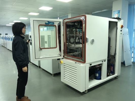LIYI Programmierbare Umweltstress-Screening-Kammer Temperatur- und Feuchtigkeitskammer