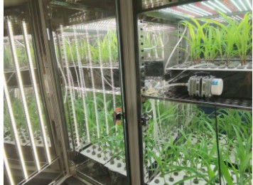 LIYI Pflanzenwachstumskammer Künstliches Klima Samenkeimungsmaschine Klimakammer Kammern Umwelt